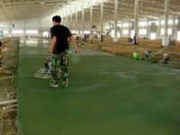 �ǽ��ٹ�����ĥ��ƺ